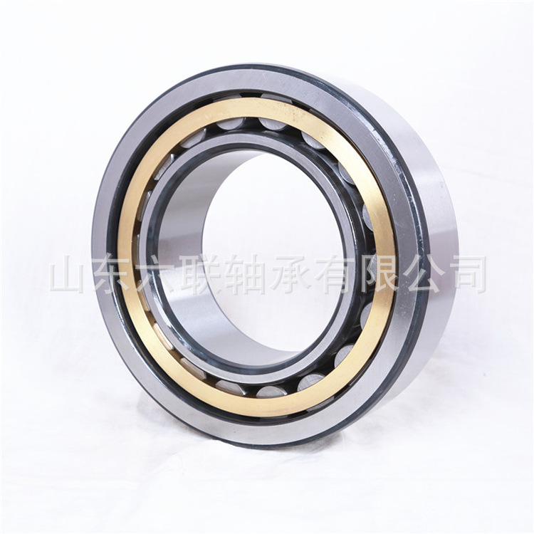 RN309EM 圆柱滚子轴承