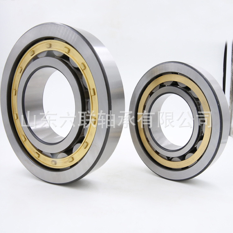 N307EM 圆柱滚子轴承