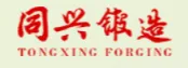 临清市同兴轴承锻造有限公司